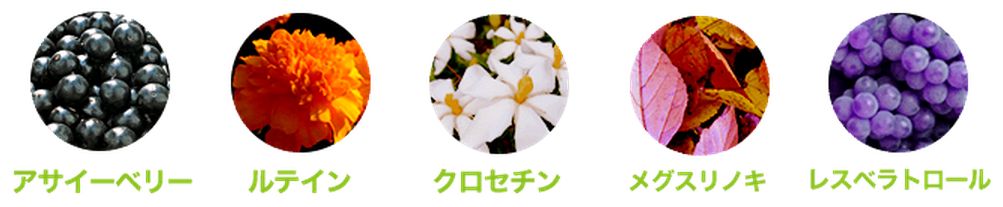 アサイーベリーファイブスター 画像